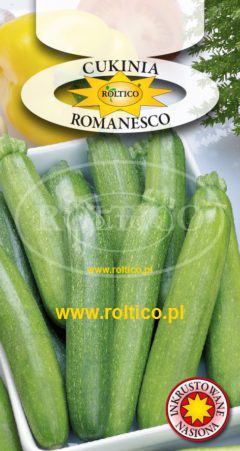 Dynia Zw. Cukinia Romanesco
