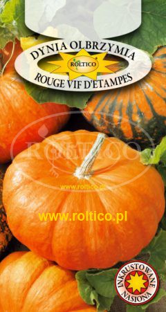 Dynia olbrzymia Rouge vif d’Etampes