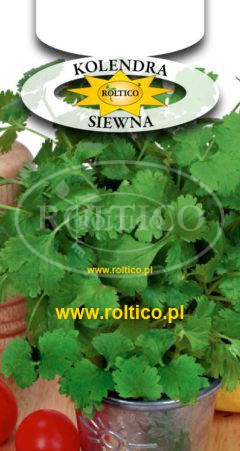 Kolendra siewna