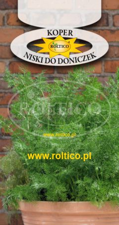 Koper ogrodowy – Niski do doniczek