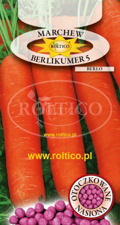 Marchew Berlikumer 5 – Berło