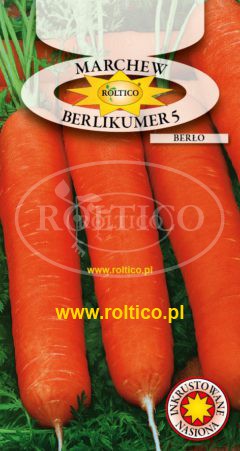 Marchew Berlikumer 5 – Berło
