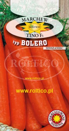 Marchew Tino – mieszaniec F1 – typ Bolero