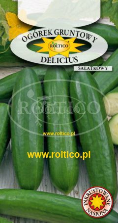Ogórek gruntowy sałatkowy Delicius