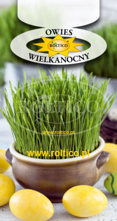 Owies wielkanocny
