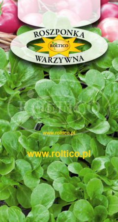 Roszponka Warzywna