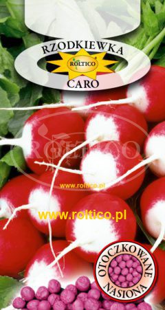 Rzodkiewka Caro