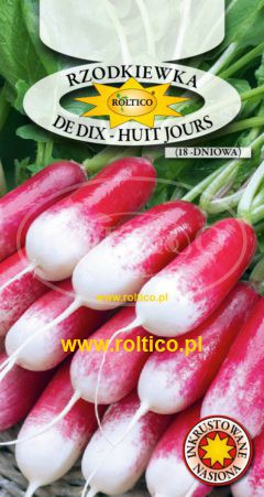 Rzodkiewka De dix – huit jours (18 dniowa)