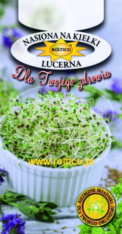 Nasiona na kiełki – Lucerna