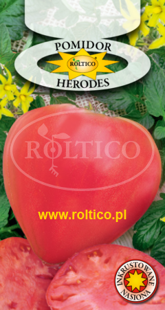Pomidor Herodes