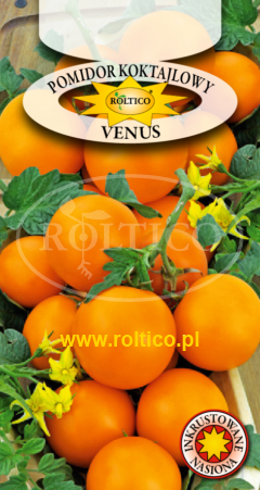 Pomidor Koktajlowy Venus