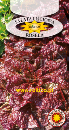 Sałata Liściowa Rosela