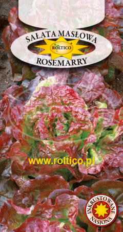 Sałata Masłowa Rosemarry