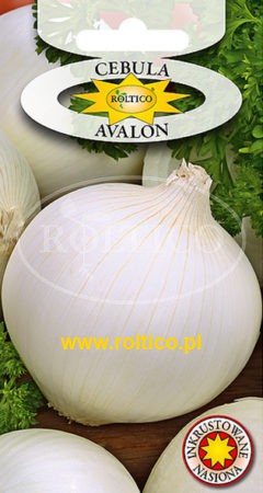 Cebula Avalon (biała)