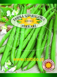 Fasola szparagowa (zielona) Ferrari