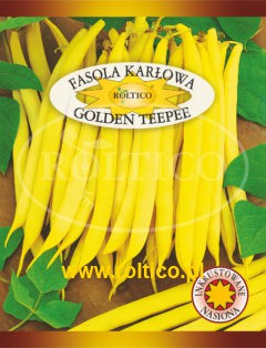 Fasola karłowa Golden Teepee