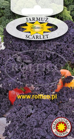 Jarmuż Scarlet