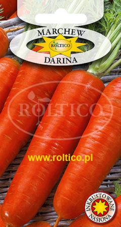 Marchew Darina