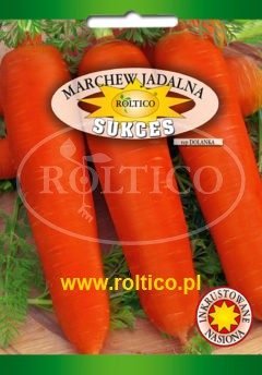Marchew Sukces – (typ Dolanka)