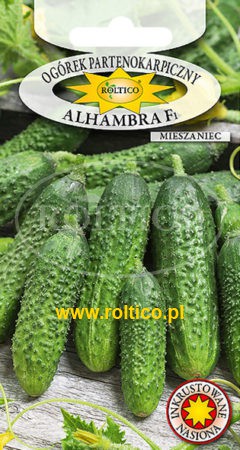 Ogórek partenokarpiczny Alhambra – mieszaniec F1