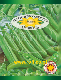 Groch siewny cukrowy Ambrosia