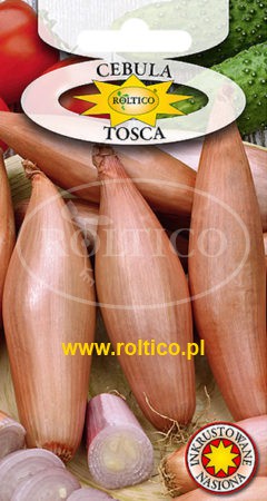 Cebula Tosca