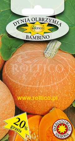 Dynia olbrzymia Bambino