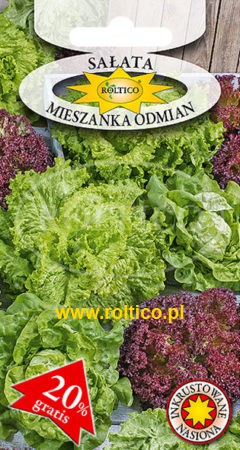 Sałata Mieszanka Odmian