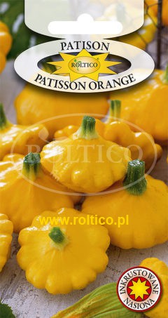 Dynia Zw. Patisson Orange