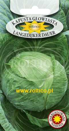Kapusta głowiasta biała Langedijker Dauer