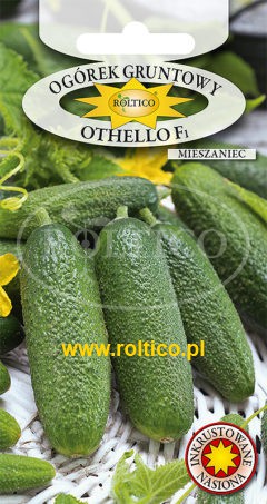 Ogórek gruntowy Othello – mieszaniec F1
