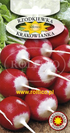 Rzodkiewka Krakowianka