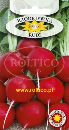 Rzodkiewka Rudi