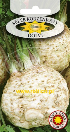 Seler korzeniowy Dolvi